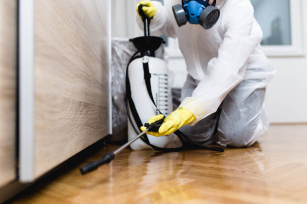 Best Termite Control Services  in Fair Oaks, CA