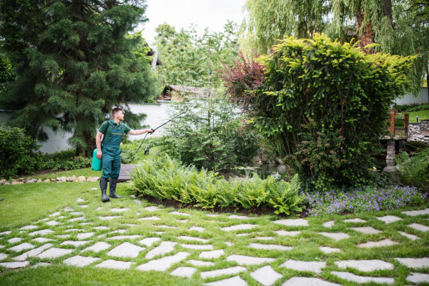 Best Pest Prevention Services  in Fair Oaks, CA