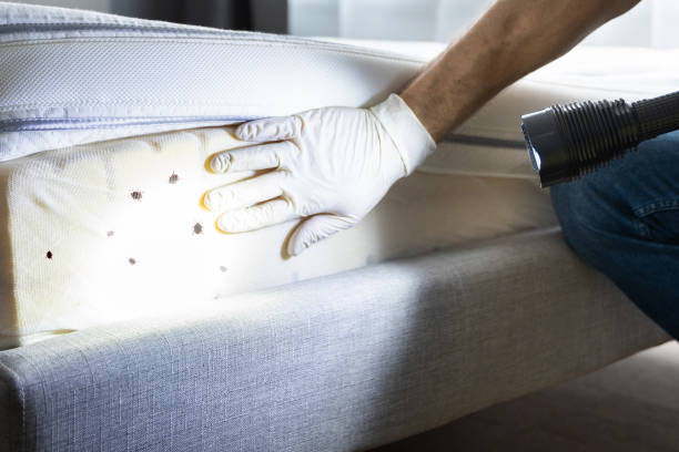 Best Residential Pest Control  in Fair Oaks, CA