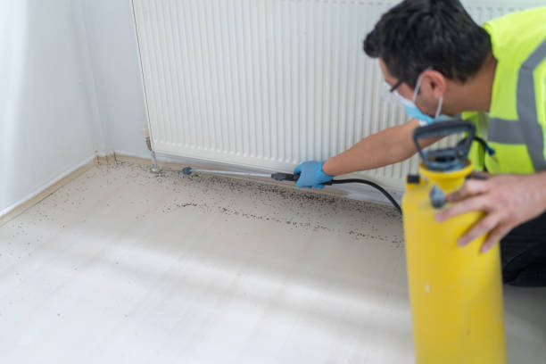Best Best Pest Control Companies  in Fair Oaks, CA
